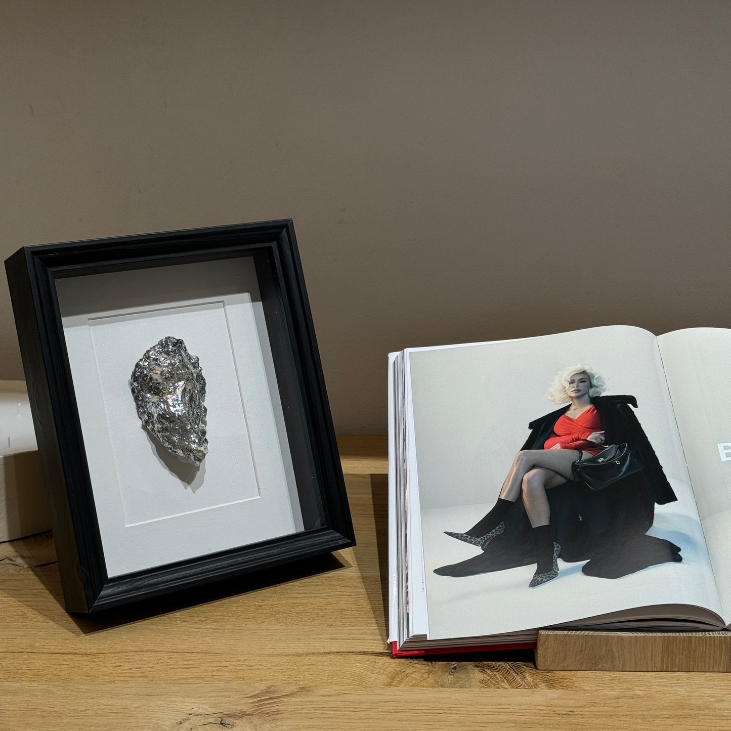 Framed seashell artwork in black with silver details, coastal wall decor | Lily Glow Home Decor