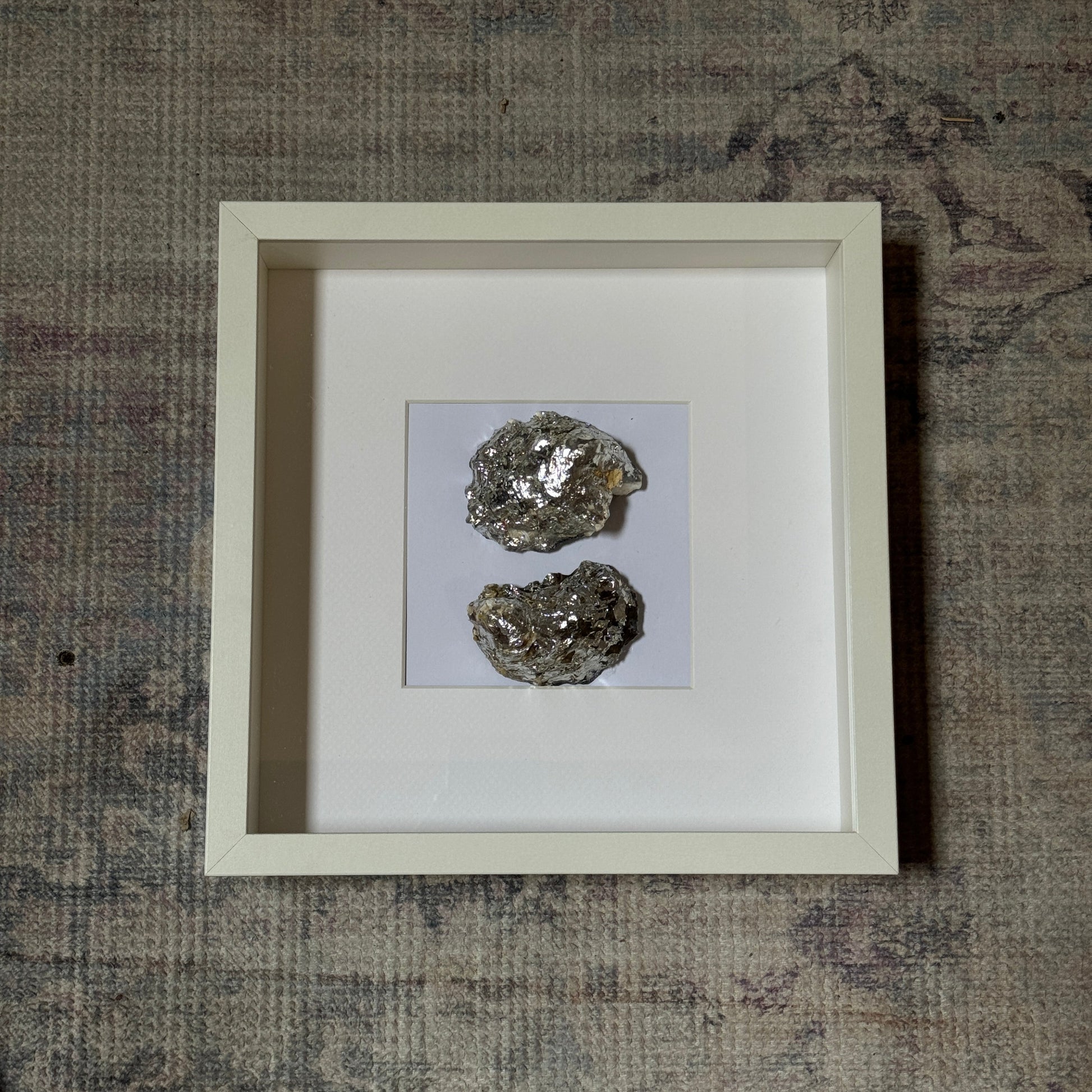 Two silver oyster shells framed in white square frame – Lily Glow Home Decor