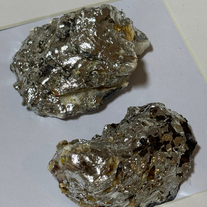 Two silver oyster shells framed in white square frame – Lily Glow Home Decor
