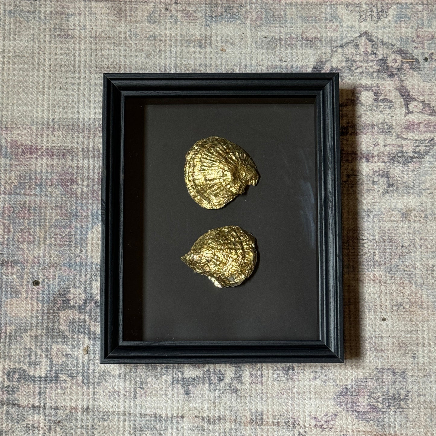 Two gold oyster shells in black wooden frame – Lily Glow Home Decor