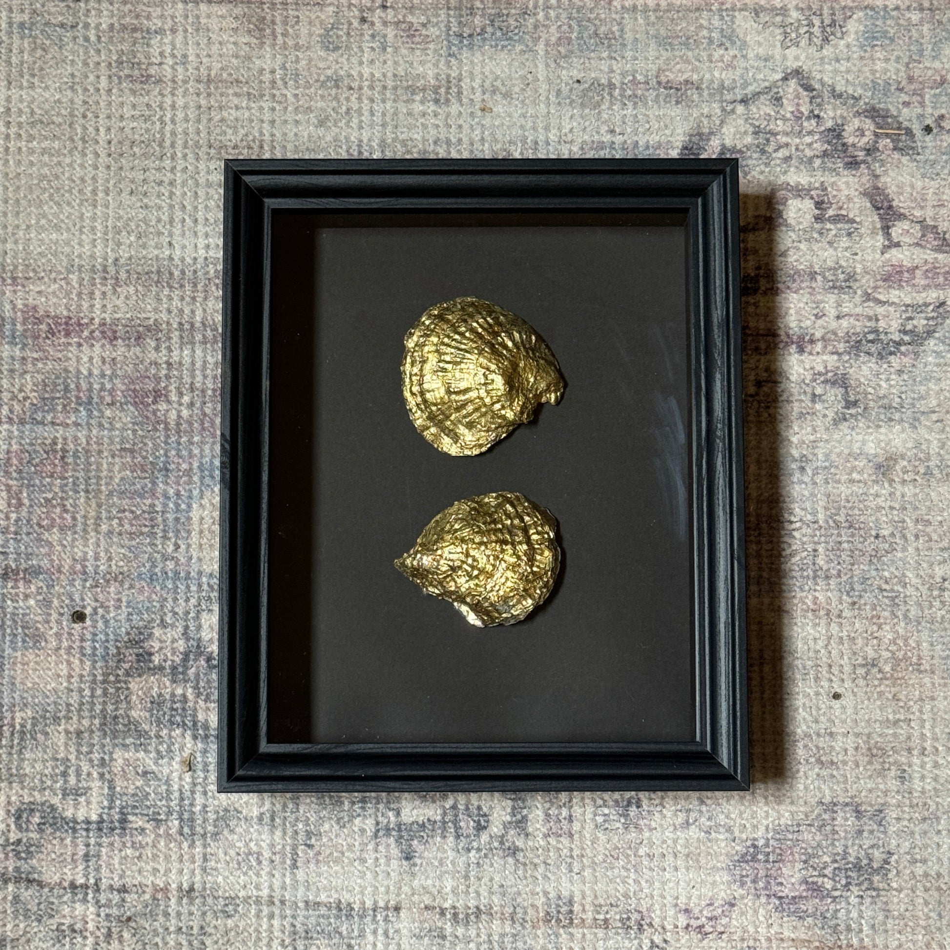 Two gold oyster shells in black wooden frame – Lily Glow Home Decor