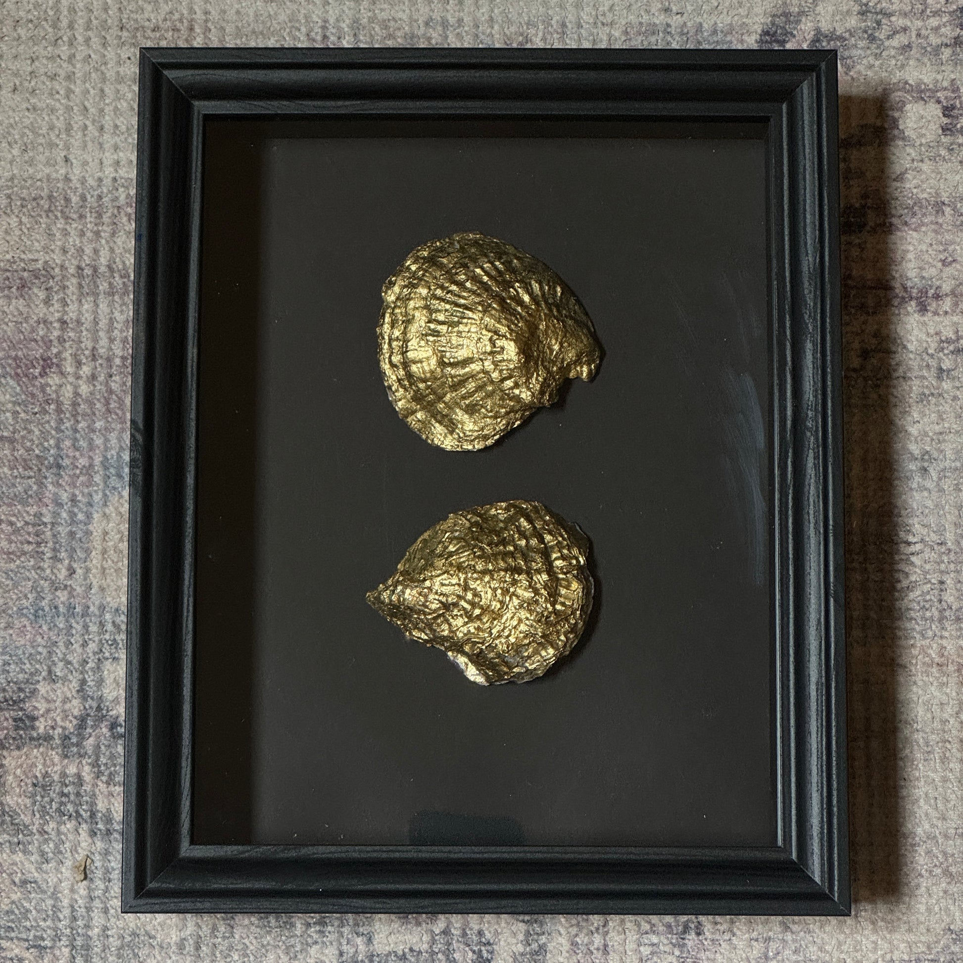 Two gold oyster shells in black wooden frame – Lily Glow Home Decor