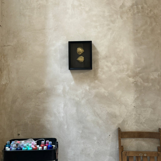 Two gold oyster shells in black wooden frame – Lily Glow Home Decor
