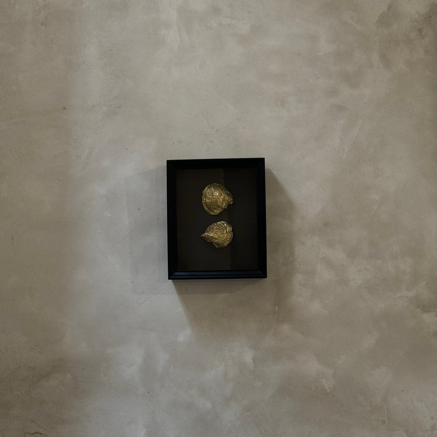 Two gold oyster shells in black wooden frame – Lily Glow Home Decor