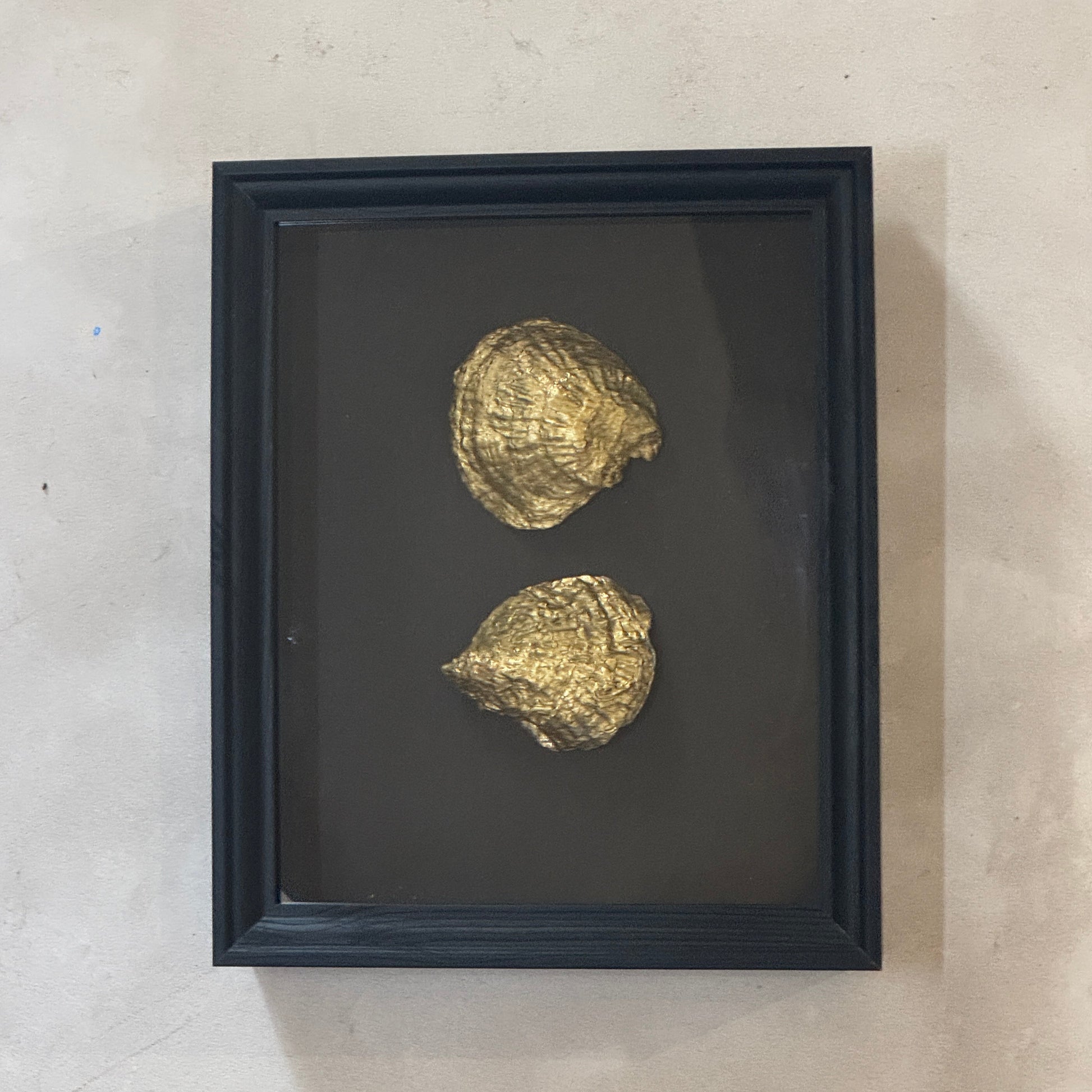 Two gold oyster shells in black wooden frame – Lily Glow Home Decor