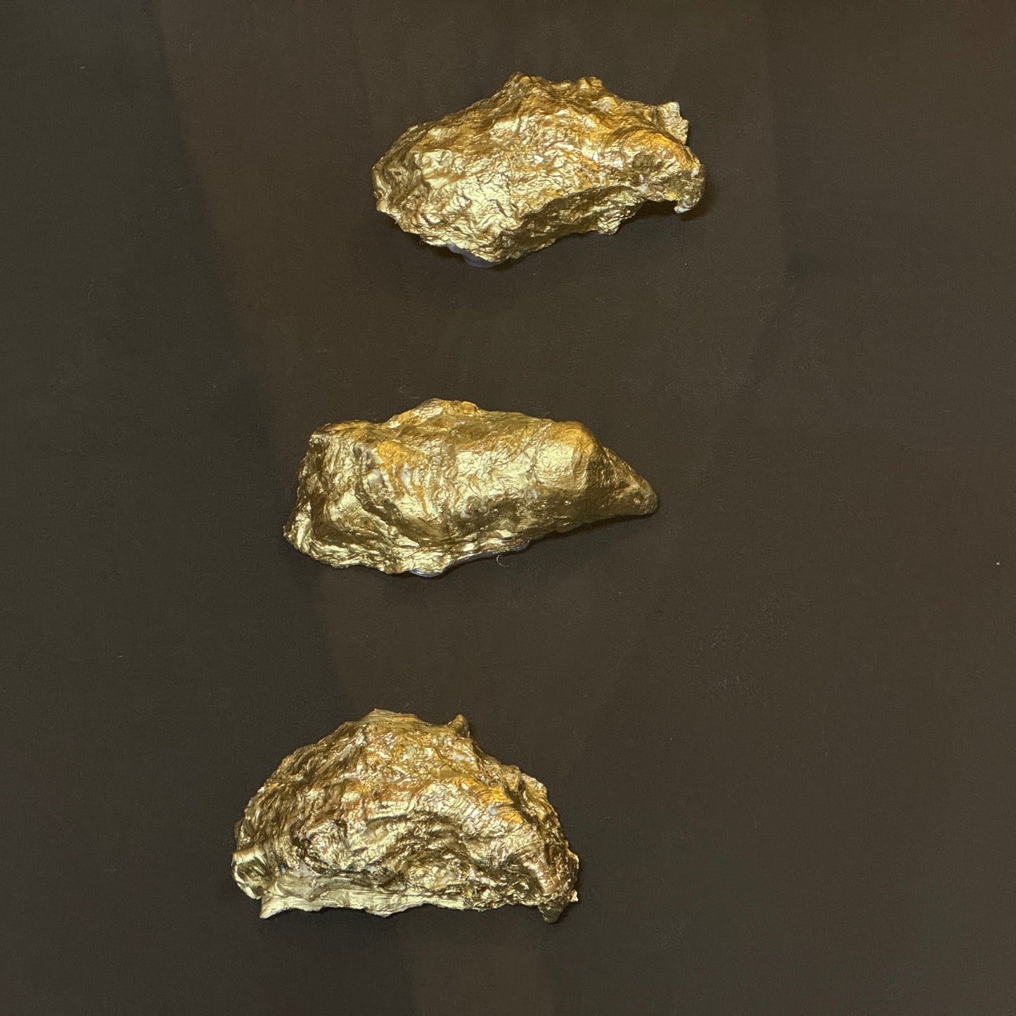 Three gold oyster shells framed on black background – Lily Glow Home Decor