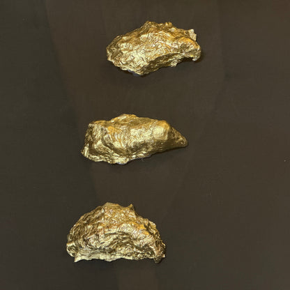 Three gold oyster shells framed on black background – Lily Glow Home Decor