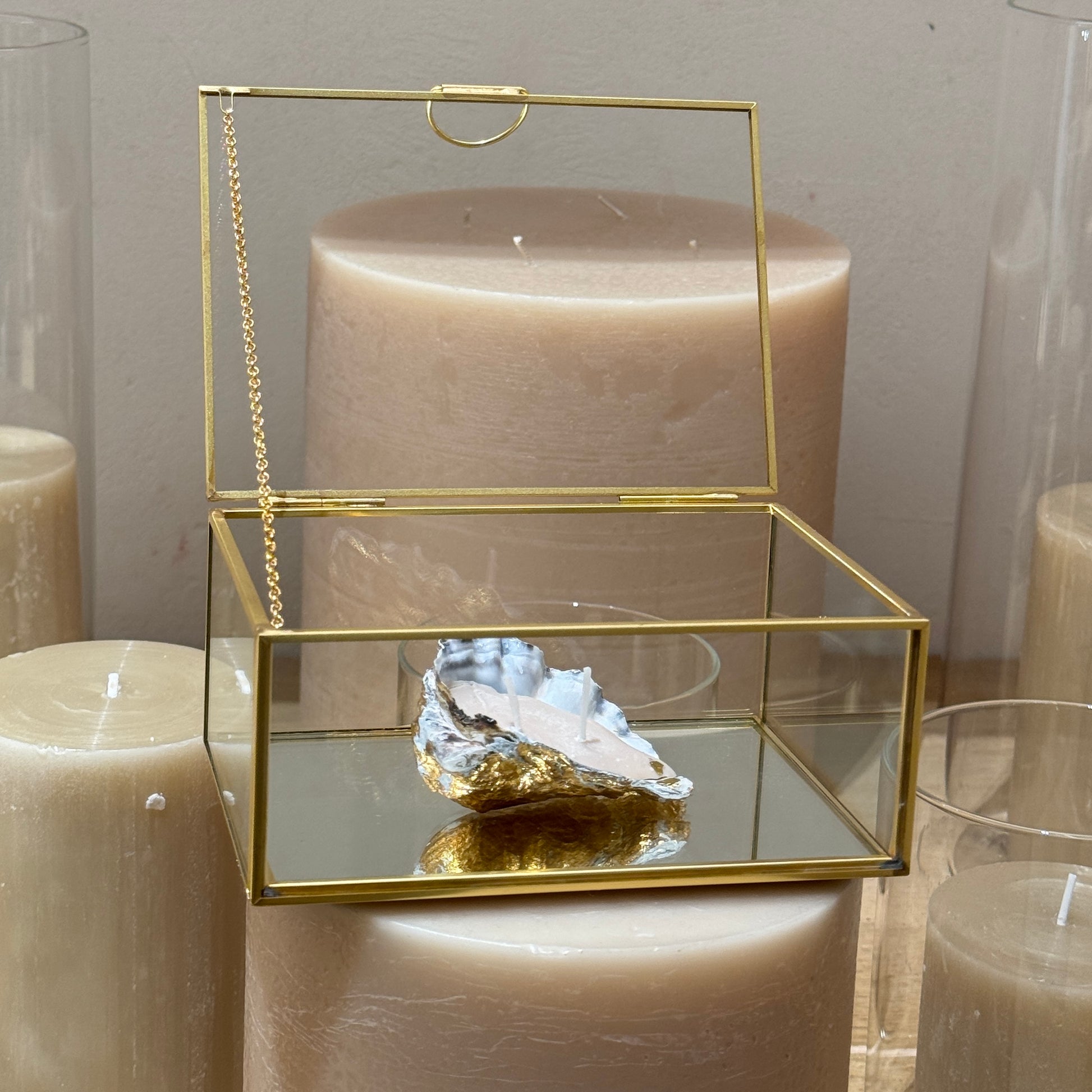 Seashell candle by Lily Glow Home Decor with white wax in a glass box