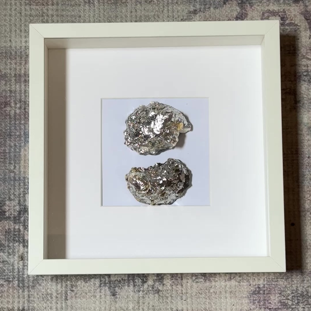 Two silver oyster shells framed in white square frame – Lily Glow Home Decor