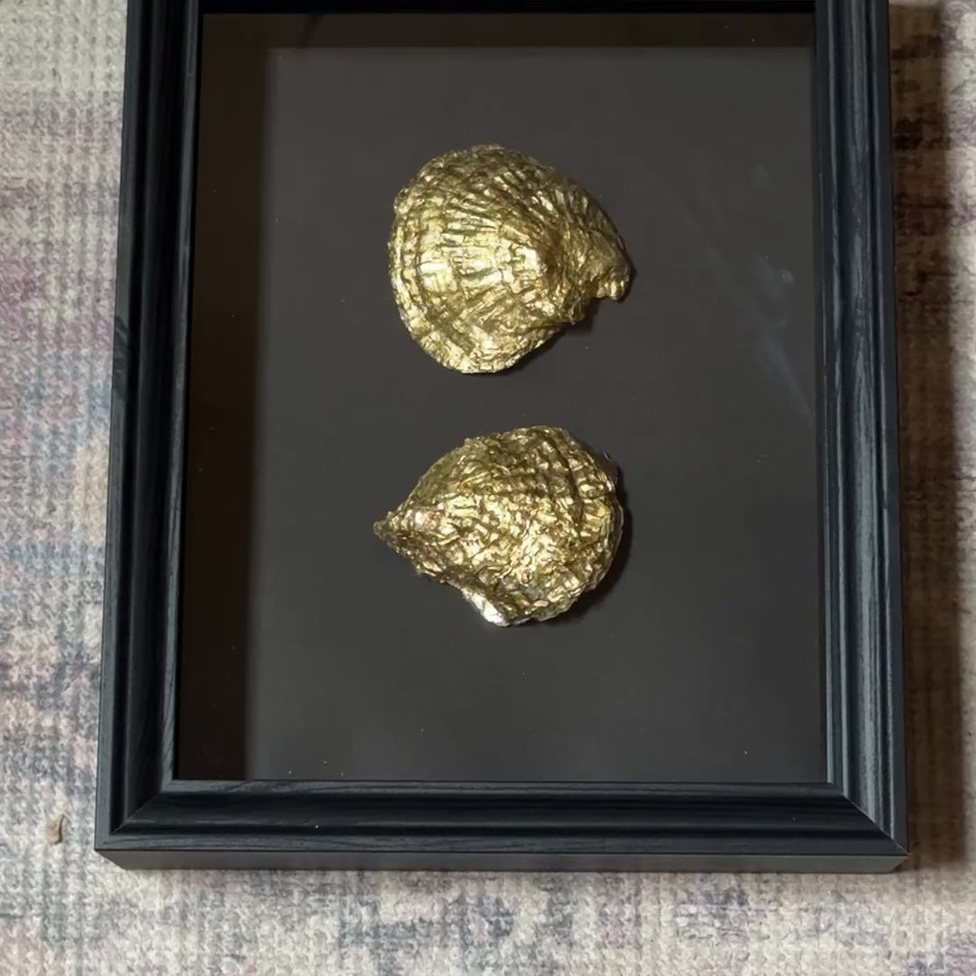 Two gold oyster shells in black wooden frame – Lily Glow Home Decor
