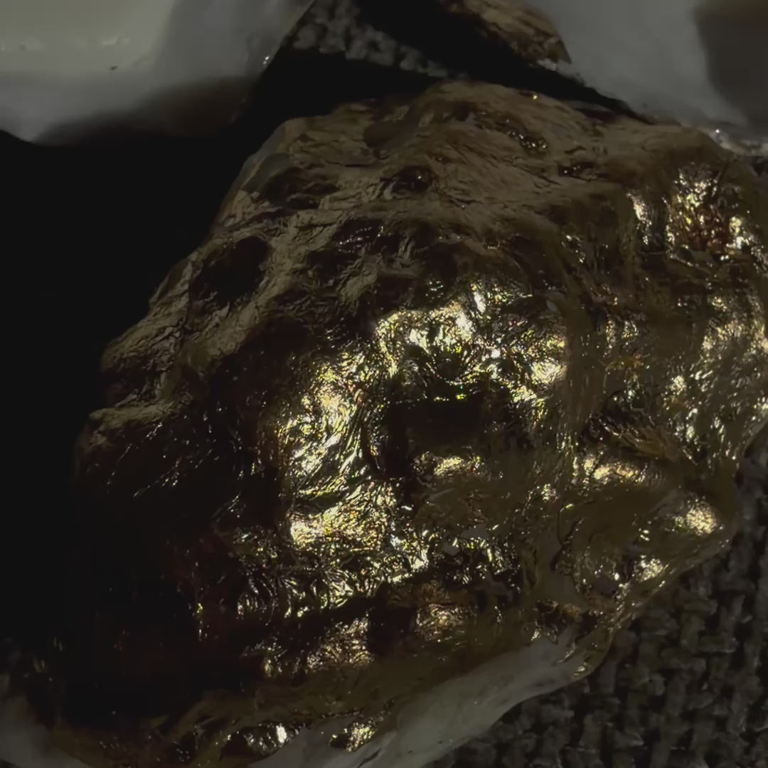 Gold-edged oyster shell candle with iridescent wax pearls – Lily Glow Home Decor