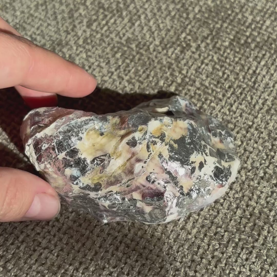 Handmade soy wax candle in a real oyster shell with two wicks – Lily Glow Home Decor